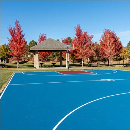 Basketball Court