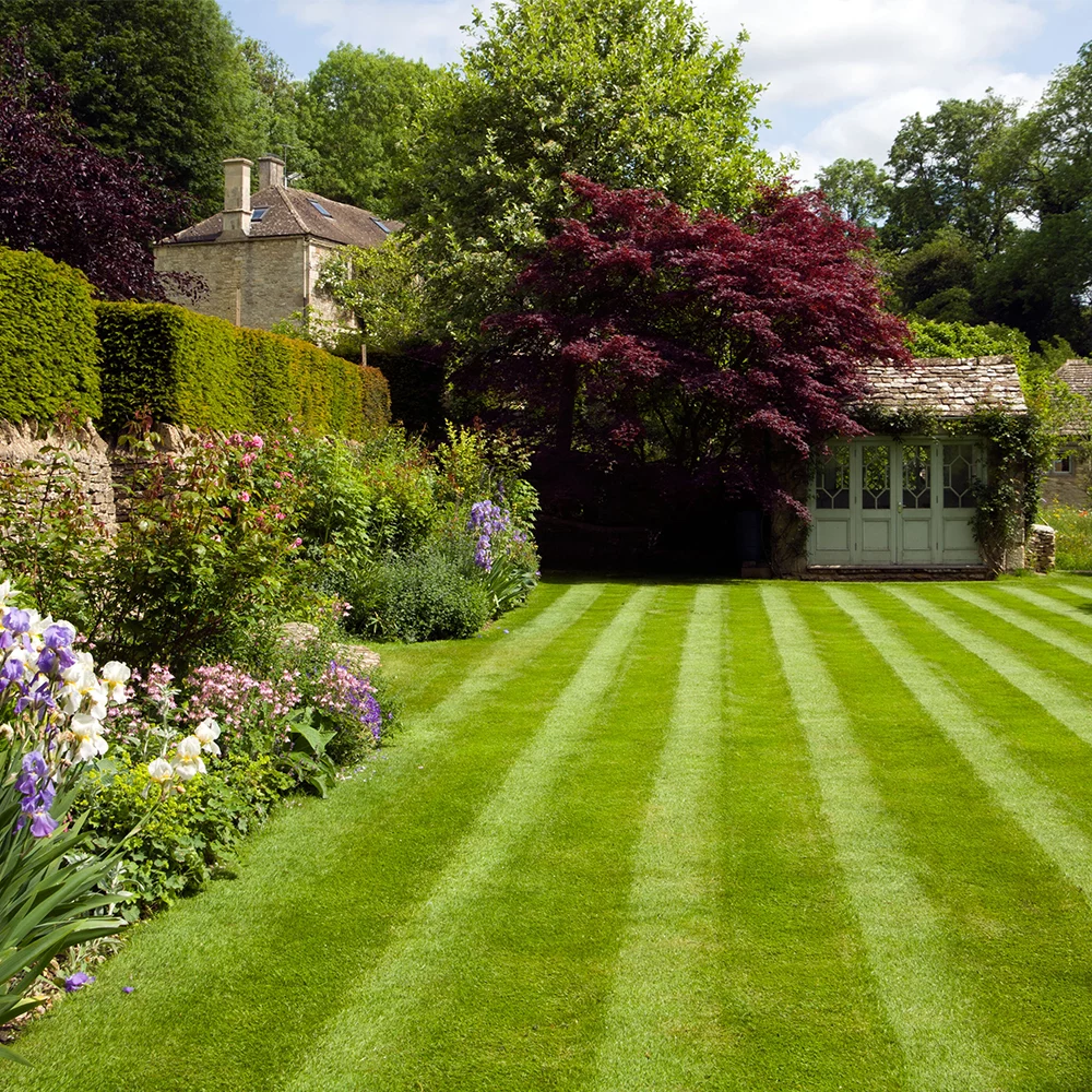 Garden Lawn